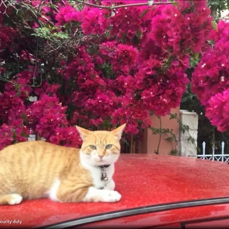 Apartment Romantic Getaway Save *