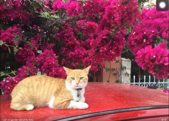 Apartament Romantic Getaway Save *